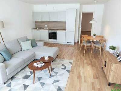 Apartment provisionsfrei mieten in 1100 Wien