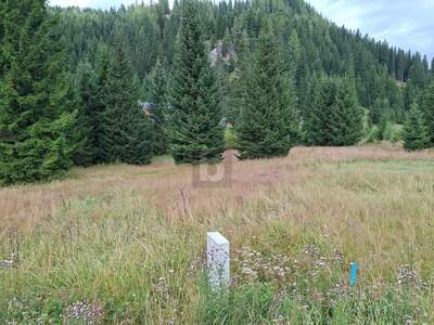 Grundstück kaufen in 9346 Glödnitz (Bild 2)