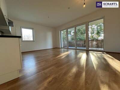 Terrassenwohnung mieten in 8401 Kalsdorf (Bild 5)
