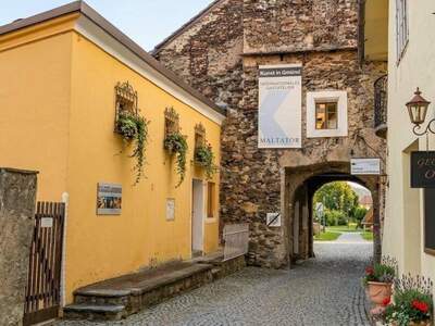 Haus kaufen in 9853 Gmünd