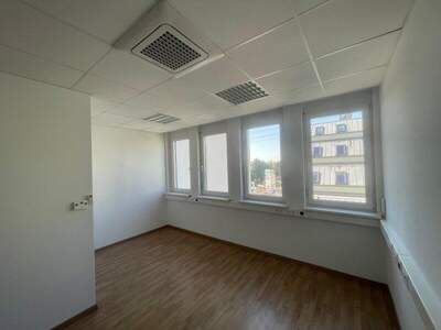 Büro / Praxis mieten in 2351 Wr. Neudorf (Bild 4)
