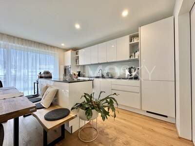 Terrassenwohnung kaufen in 6845 Hohenems (Bild 2)