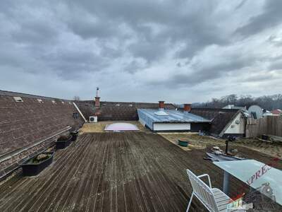 Mehrfamilienhaus kaufen in 7021 Gemeinde Draßburg (Bild 3)