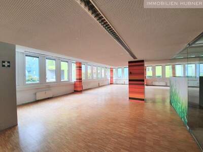 Gewerbeobjekt mieten in 1030 Wien (Bild 5)