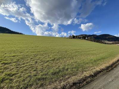 Grundstück kaufen in 8813 Sankt Lambrecht