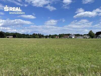 Grundstück kaufen in 8501 Lieboch (Bild 2)