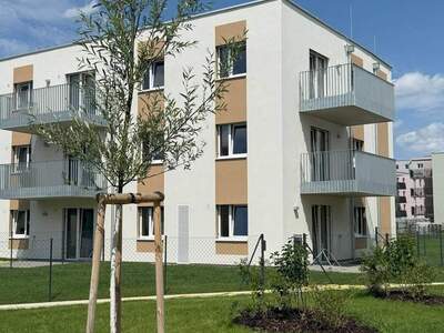Wohnung mieten in 2700 Wiener Neustadt