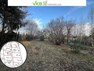 Grundstück kaufen in 4211 Spattendorf