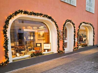 Immobilie kaufen in 2700 Wiener Neustadt (Bild 1)