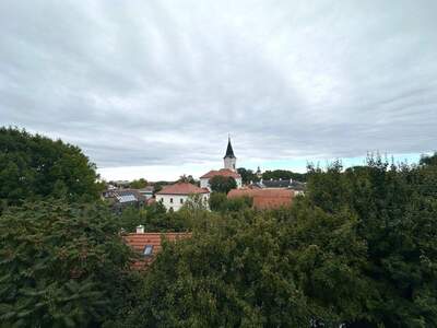 Wohnung kaufen in 2512 Tribuswinkel