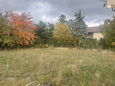 Grundstück kaufen in 2542 Kottingbrunn