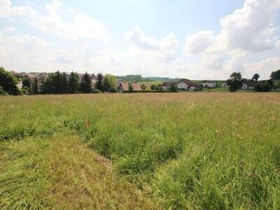 Grundstück kaufen in 4760 Raab