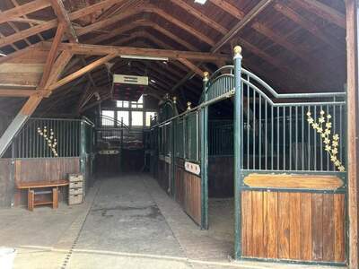 Haus kaufen in 2852 Hochneukirchen