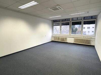 Gewerbeobjekt mieten in 1130 Wien (Bild 4)