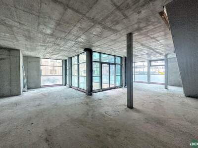 Gewerbeobjekt mieten in 1220 Wien (Bild 2)