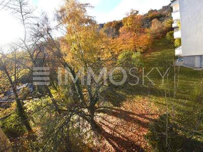 Terrassenwohnung kaufen in 4040 Linz (Bild 5)