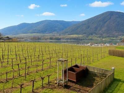 Haus kaufen in 3610 Weißenkirchen