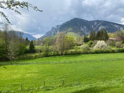 Grundstück kaufen in 2651 Reichenau