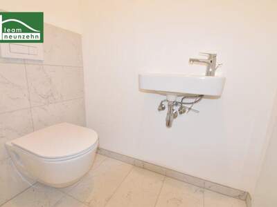 Terrassenwohnung kaufen in 1220 Wien (Bild 4)