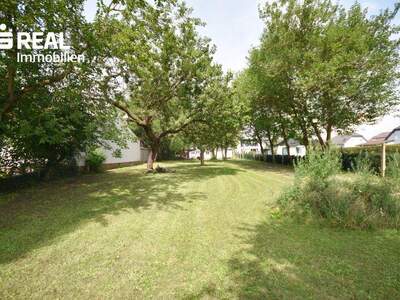 Grundstück kaufen in 2231 Strasshof (Bild 1)