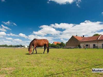 Anlageobjekt kaufen in 5350 Aigen
