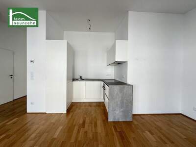 Terrassenwohnung mieten in 1210 Wien (Bild 2)