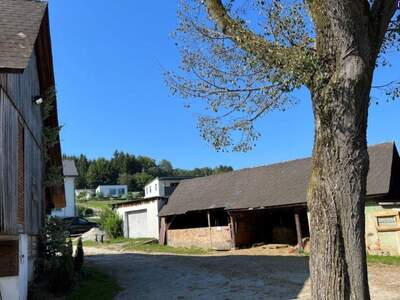 Gewerbeobjekt kaufen in 8570 Stallhofen (Bild 3)