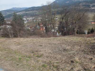 Grundstück kaufen in 9711 Paternion (Bild 1)