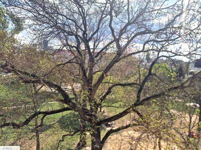 Wohnung mit Balkon mieten in 1210 Wien (Bild 2)
