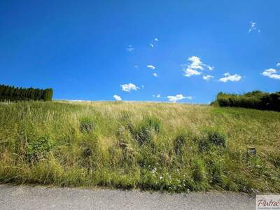 Grundstück kaufen in 4616 Weyerbach (Bild 5)