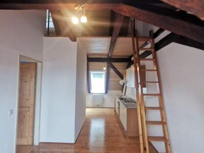 Altbauwohnung kaufen in 8262 Ilz (Bild 4)