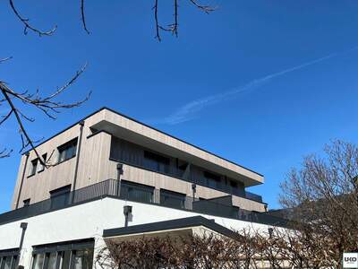 Immobilie mieten in 5440 Golling (Bild 3)