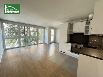 Terrassenwohnung mieten in 1200 Wien (Bild 2)