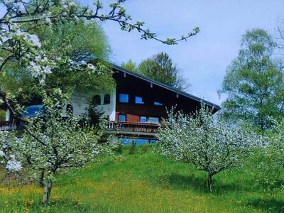 Haus provisionsfrei mieten in 6863 Egg