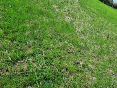 Grundstück kaufen in 4111 Walding (Bild 2)