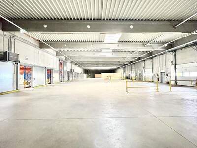 Gewerbeobjekt mieten in 2351 Wiener Neudorf (Bild 5)