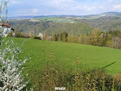 Grundstück kaufen in 4091 Vichtenstein