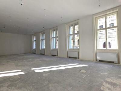 Gewerbeobjekt mieten in 1010 Wien (Bild 1)