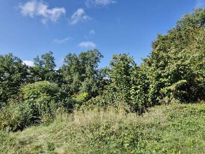 Grundstück kaufen in 4020 Linz (Bild 3)