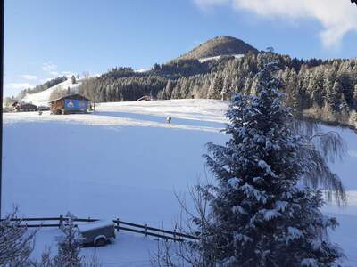 Terrassenwohnung mieten in 6365 Kirchberg (Bild 2)