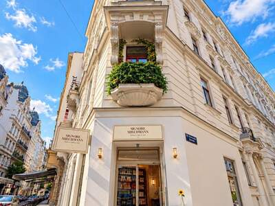 Gewerbeobjekt mieten in 1080 Wien (Bild 2)