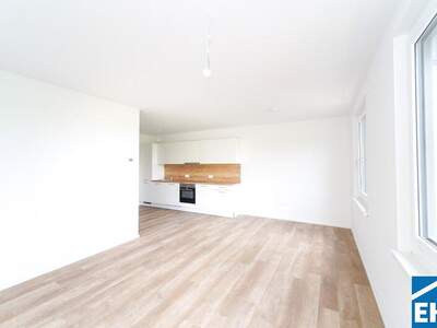 Terrassenwohnung mieten in 3451 Michelhausen (Bild 3)