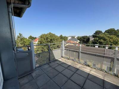 Terrassenwohnung mieten in 2232 Deutsch (Bild 4)