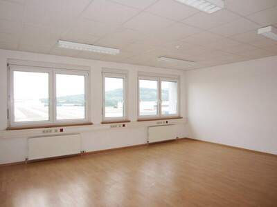 Büro / Praxis mieten in 2351 Wr. Neudorf (Bild 5)