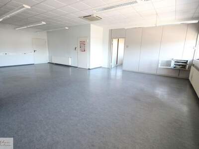 Gewerbeobjekt mieten in 8073 Feldkirchen (Bild 3)