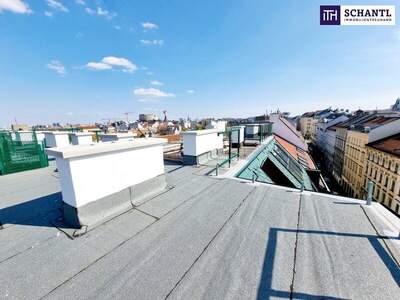 Terrassenwohnung kaufen in 1070 Wien (Bild 1)