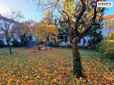 Wohnung kaufen in 1210 Wien (Bild 4)