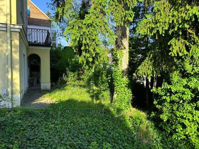 Haus kaufen in 1130 Wien (Bild 4)