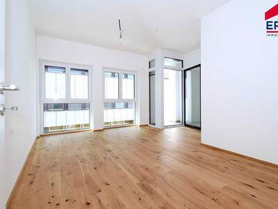 Anlageobjekt kaufen in 2130 Mistelbach (Bild 5)