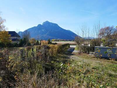 Grundstück kaufen in 5081 Anif